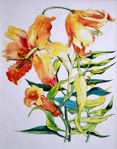 Orange Lilies 1, 1985 by Unbekannt Unbekannt